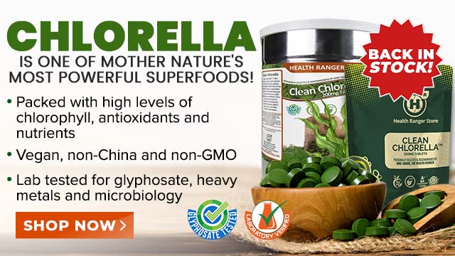 Clean Chlorella Tablets