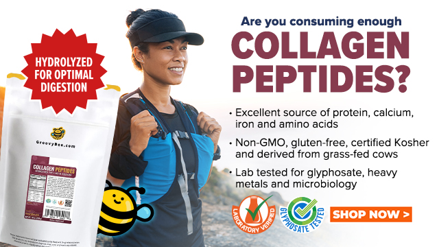 Groovy Bee Collagen Peptides