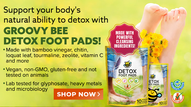 Groovy Bee Detox Foot Pads