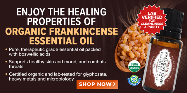 Frankincense Serrata Essential Oil