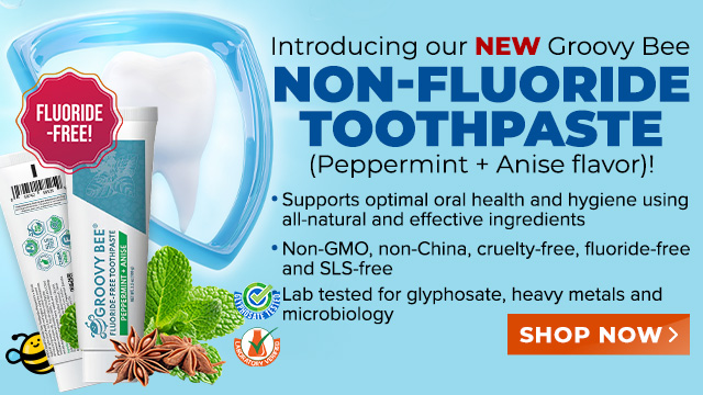 Groovy Bee Non-Fluoride Toothpaste - Peppermint and Anise