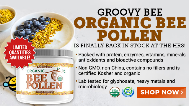 Groovy Bee Organic Bee Pollen