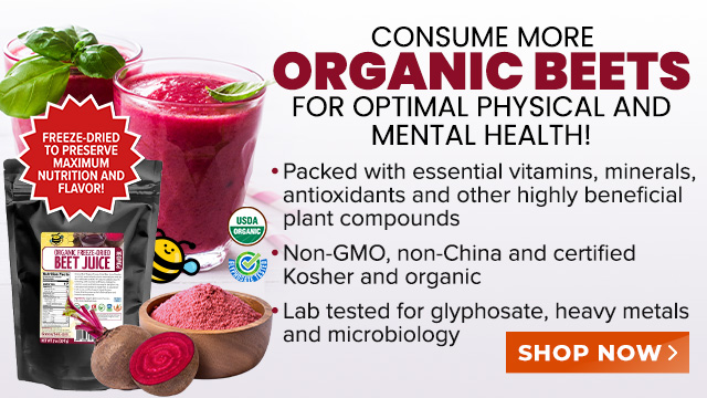 Groovy Bee Organic Freeze-Dried Beet Juice Powder