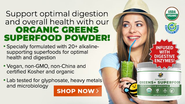 Groovy Bee Organic Greens+ Superfood Powder with Digestive Enzymes