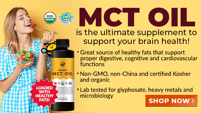 Groovy Bee Organic MCT Oil