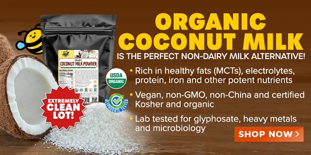 Organic Coconut Milk