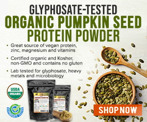 Groovy-Bee-Pumpkin-Seed-Protein-Powder-MR.jpg