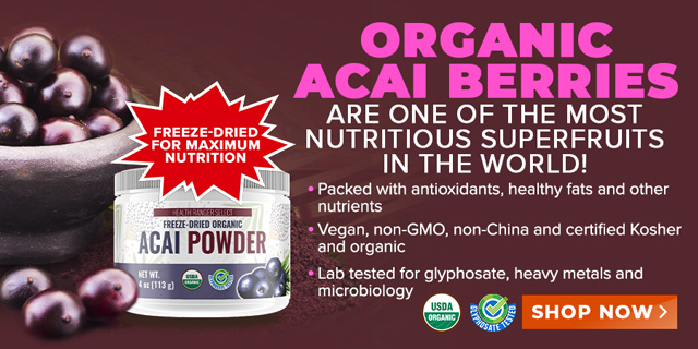 Organic Acai Powder