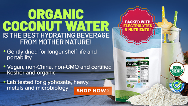 Organic Coconut Water Powder