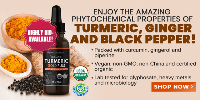 Organic Turmeric Gold Plus