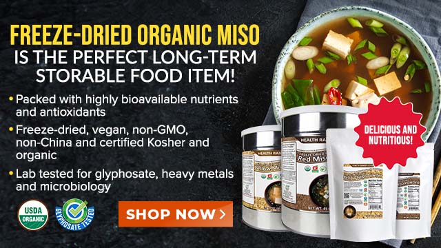 Organic Freeze-Dried Yellow and Red Miso Powders