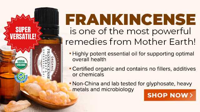 Organic Frankincense Serrata Essential Oil