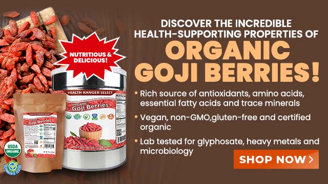 Health Ranger Select Organic Goji Berries