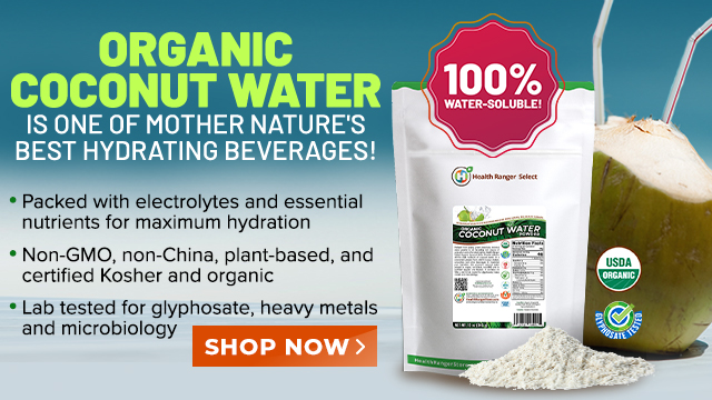 Organic Coconut Water Powder