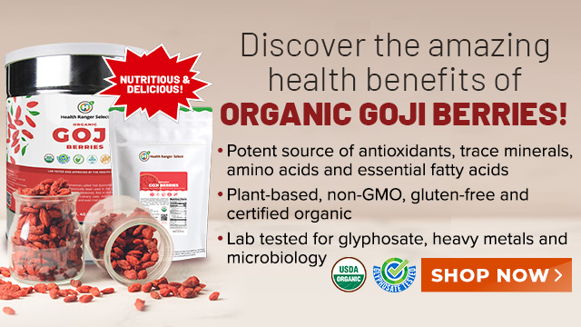 Organic Goji Berries