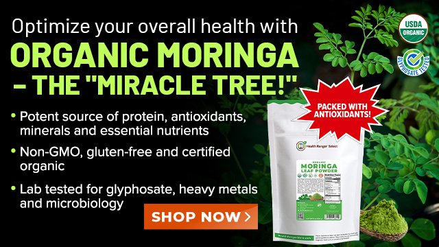 Organic Moringa Leaf Powder