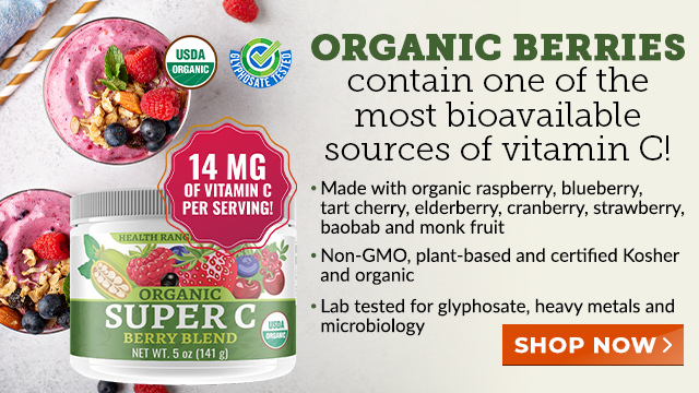 Organic Super C Berry Blend