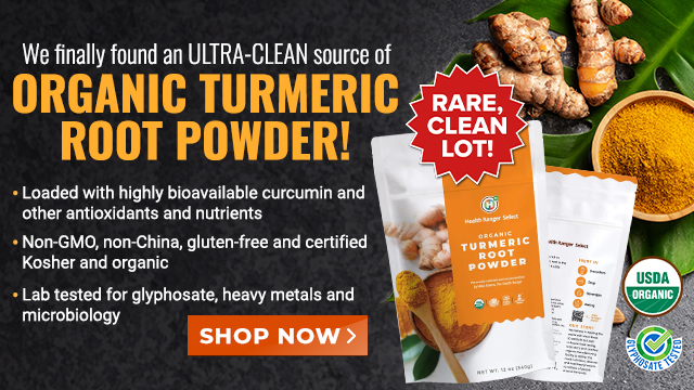 Turmeric Root Powder