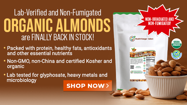 Organic Raw Almonds