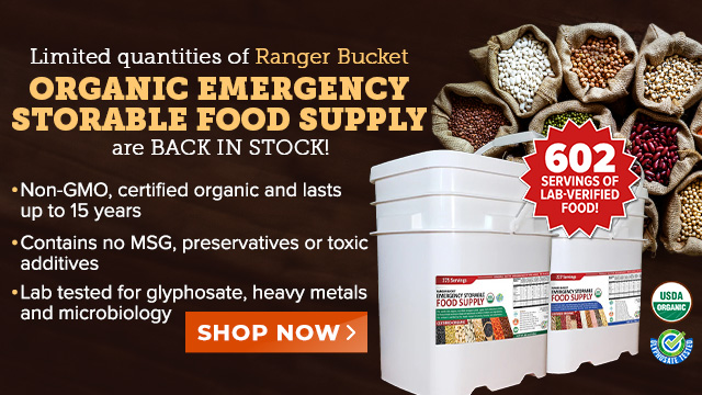 Ranger Buckets - Limited Quantities