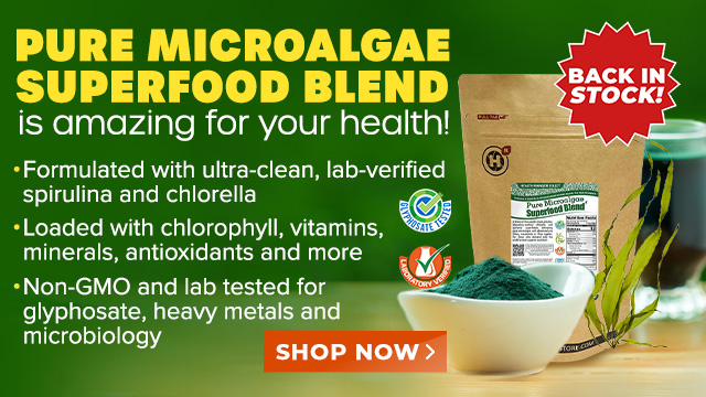 Pure Microalgae Superfood Blend Powder