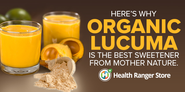 Organic Lucuma Powder