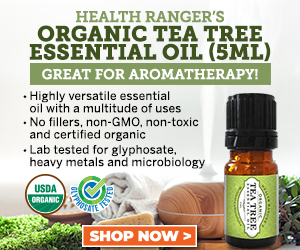 Organic-Tea-Tree-Essential-Oil-MR.jpg