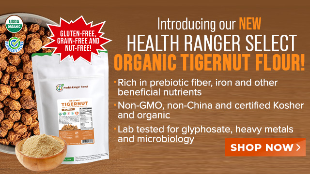 Organic Tigernut Flour