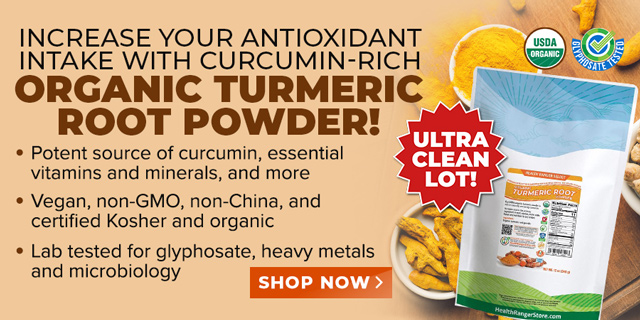 Turmeric Root Powder