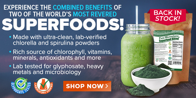 Microalgae Superfood Blend