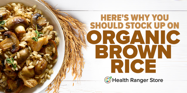 Organic Brown Rice