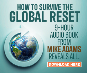 The-Global-Reset-Survival-Guide-2-MR.jpg