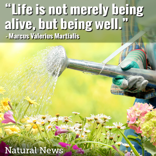 Life Is Not Merely Being Alive But Being Well Meaning