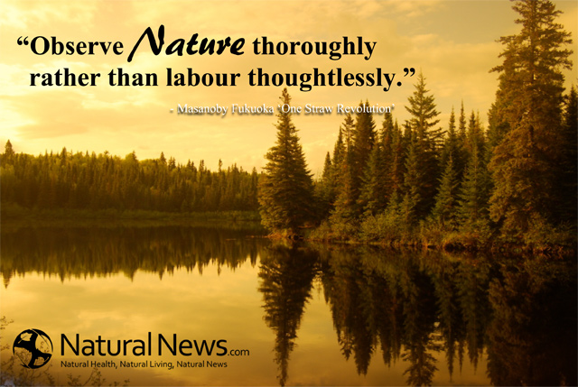 Observe nature thoroughly rather than labour thoughtlessly ...