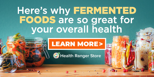 Fermented Foods