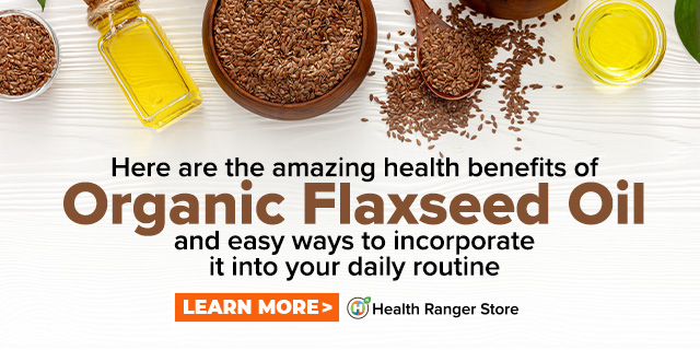 Flaxseed