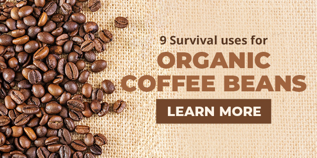 Organic Coffee Beans