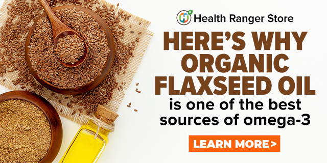 Organic Flax Seeds