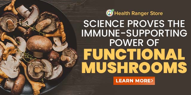 Organic Functional Mushrooms