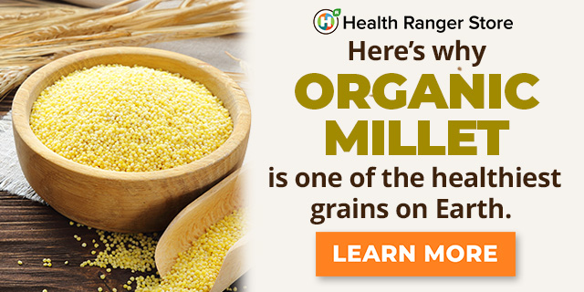 Organic Millet