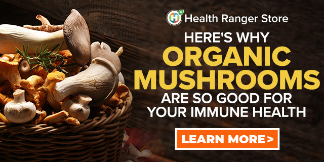 Organic Mushrooms