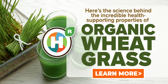 Organic Wheat Grass