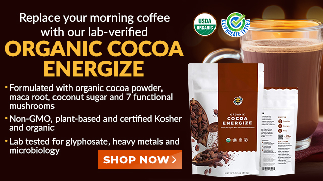 Groovy Bee Organic Cocoa Energize