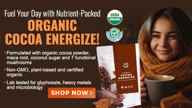 Groovy Bee Organic Cocoa Energize