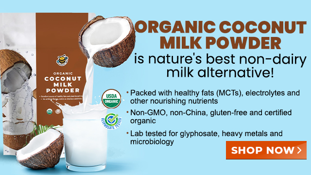 Groovy Bee Organic Coconut Milk Powder