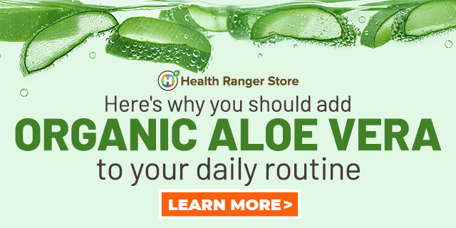 Aloe Vera