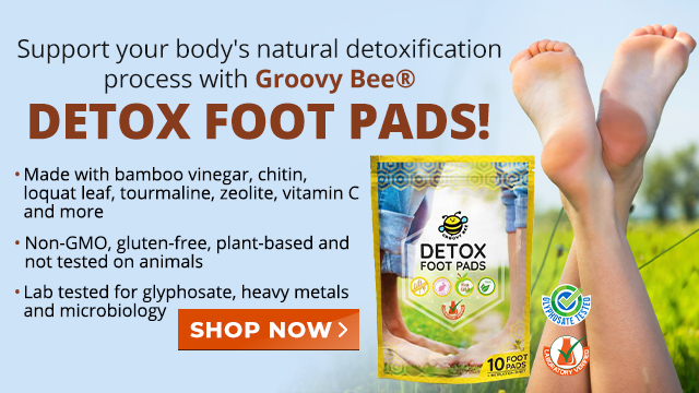 Groovy Bee Detox Foot Pads