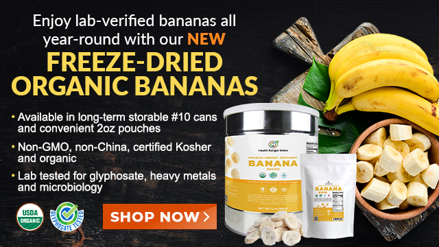 Freeze-Dried Organic Banana - 10 Can