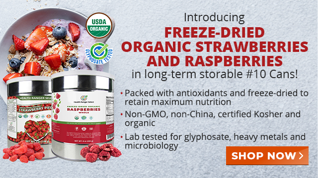 Freeze-Dried Organic Strawberries and Raspberries