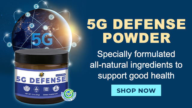 Groovy Bee 5G Defense Powder